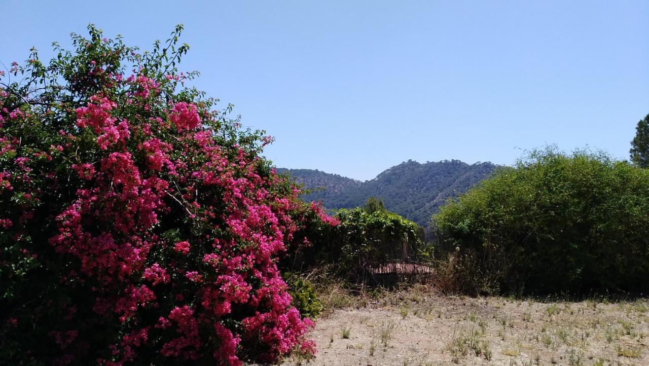 Chalet Montprats, Serra Εξωτερικό φωτογραφία